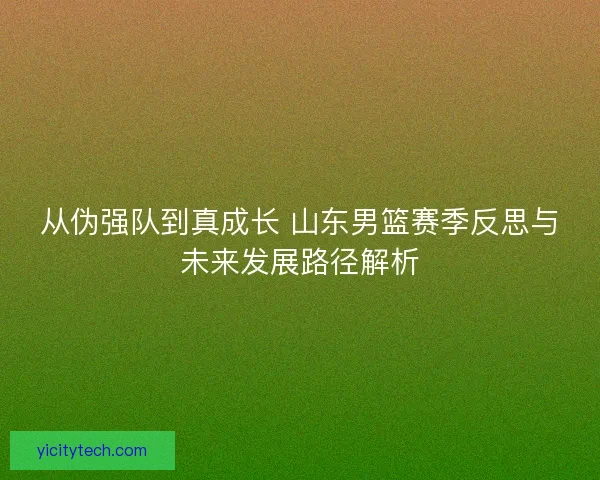 从伪强队到真成长 山东男篮赛季反思与未来发展路径解析
